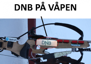 DNB våpenmerke.png